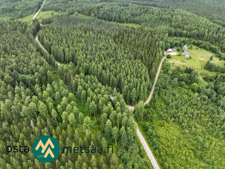 Kuva kohteesta Myydään metsää Pohjois-Karjala Ilomantsi | viiden tilan kokonaisuus 38,5 ha