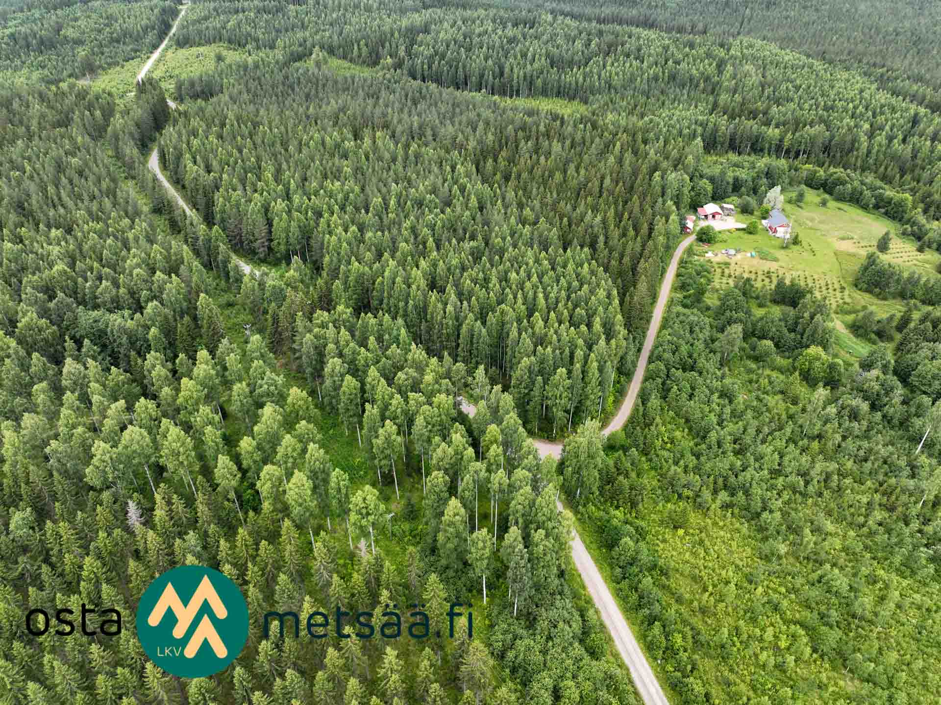 Kuva kohteesta Myydään metsää Pohjois-Karjala Ilomantsi | viiden tilan kokonaisuus 38,5 ha