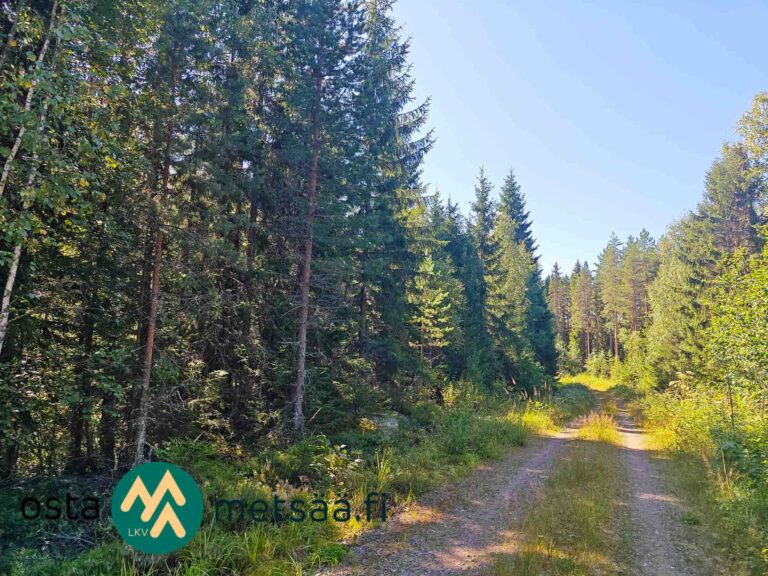 Kuva kohteesta Myydään metsää Pirkanmaa Ikaalinen Lahdentausta – 14,1 ha määräala