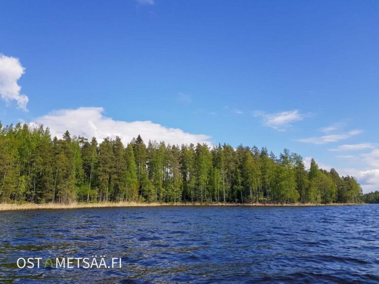 Kuva kohteesta Myydään rantatontti Etelä-Karjala Ruokolahti 3 kpl